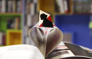 Вечер быстрых книжных встреч