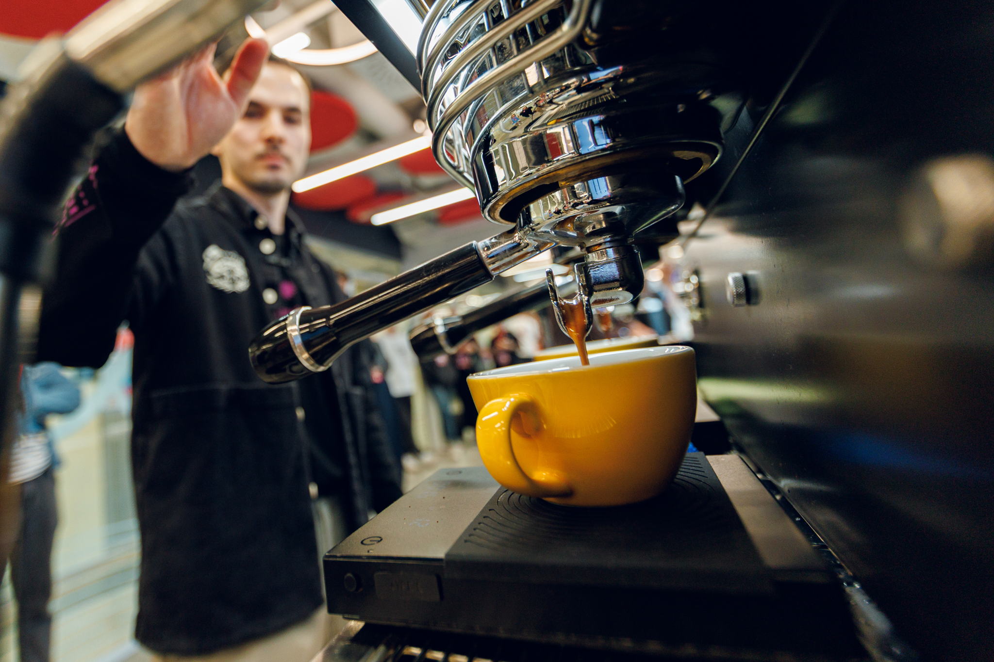 Курс "Бариста PRO"