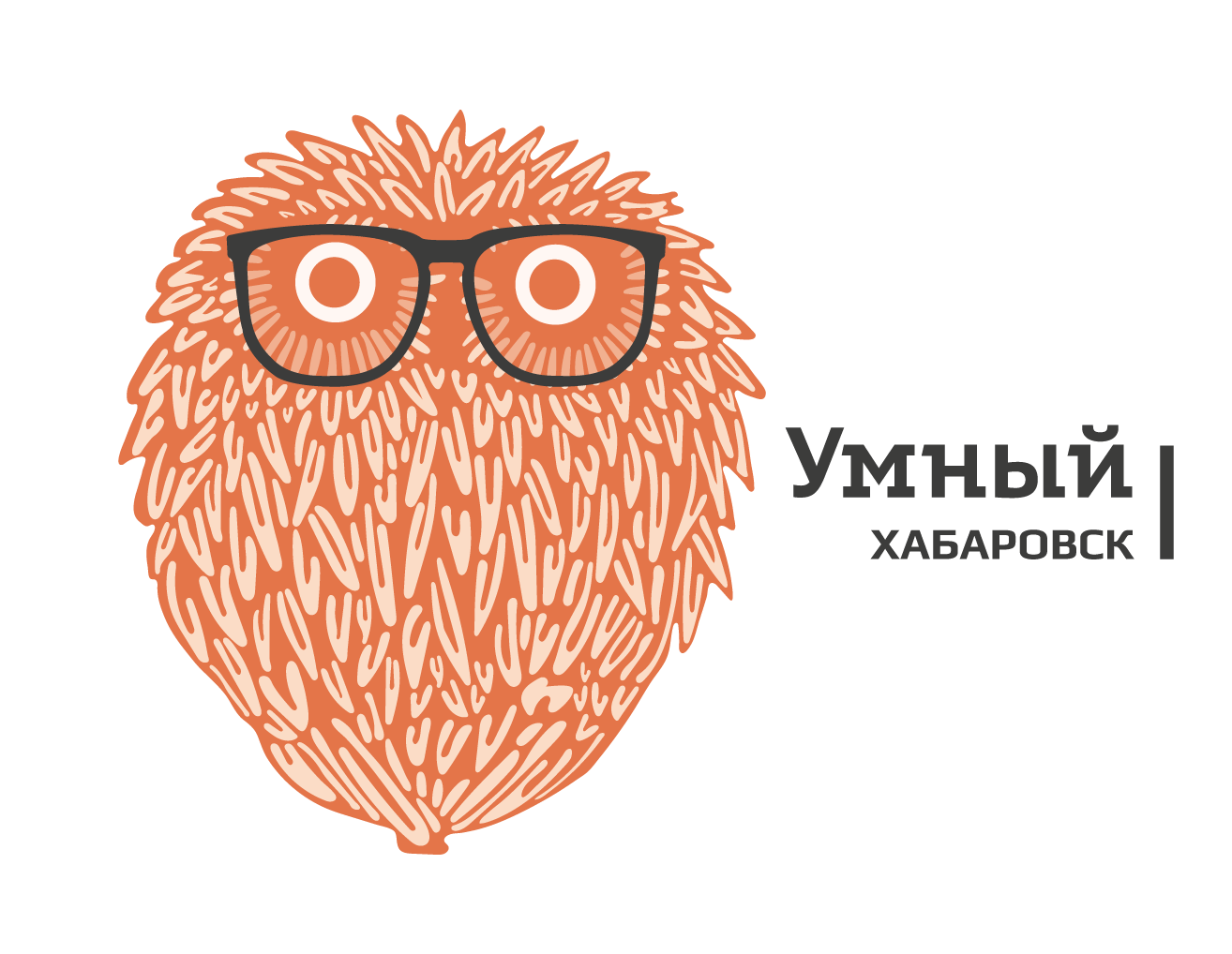 Умный Хабаровск