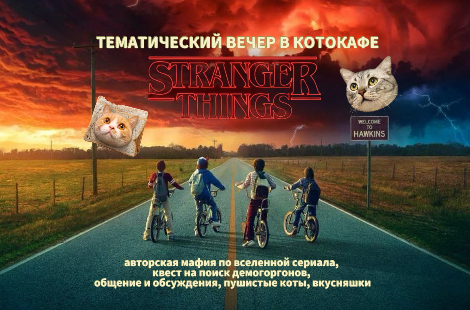 ОЧЕНЬ СТРАННЫЙ ВЕЧЕР В КОТОКАФЕ