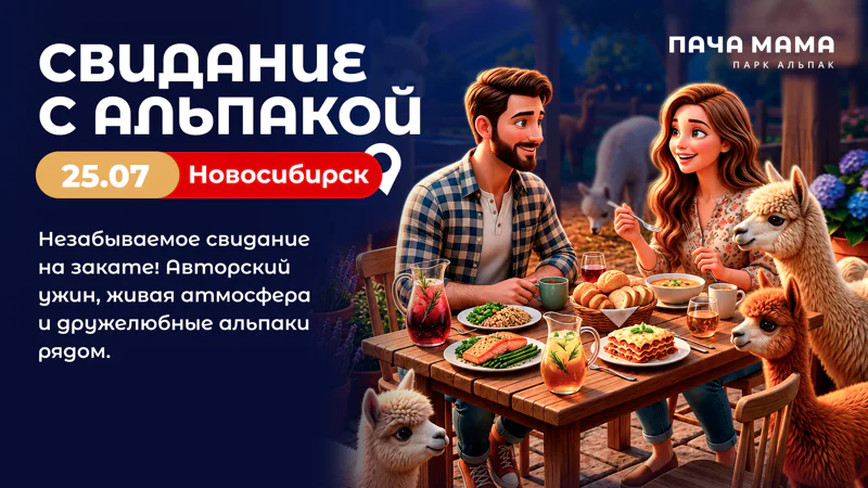 Свидание с альпакой 