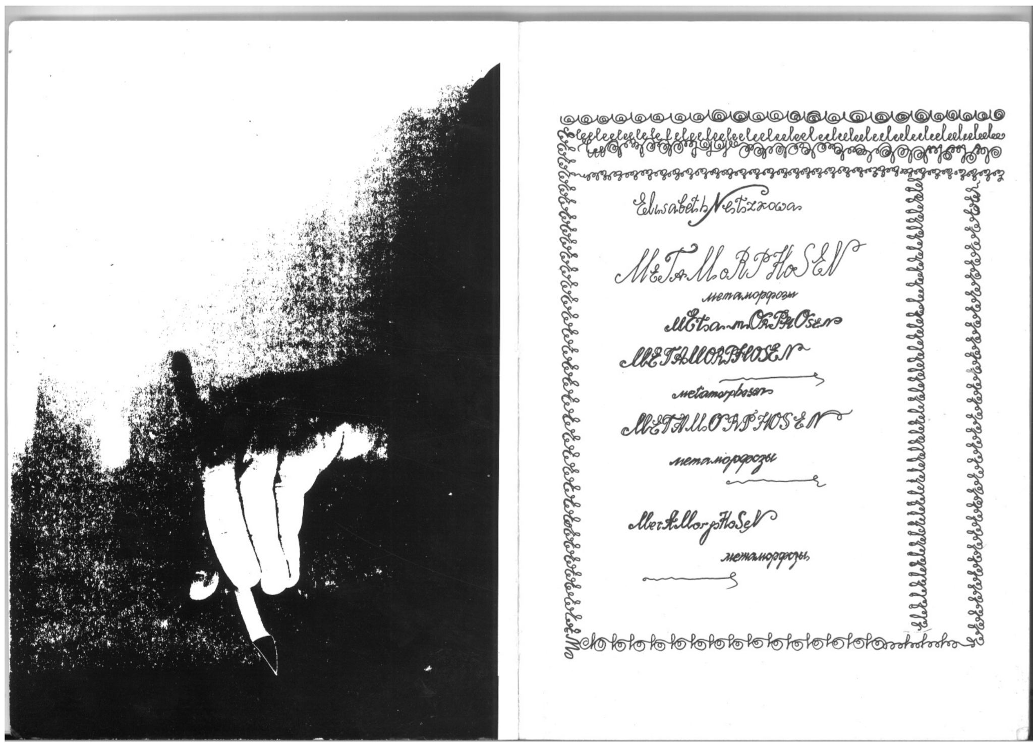 Поэтики земли: Елизавета Мнацаканова