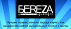 BEREZA Music - образование в музыкальном менеджмента
