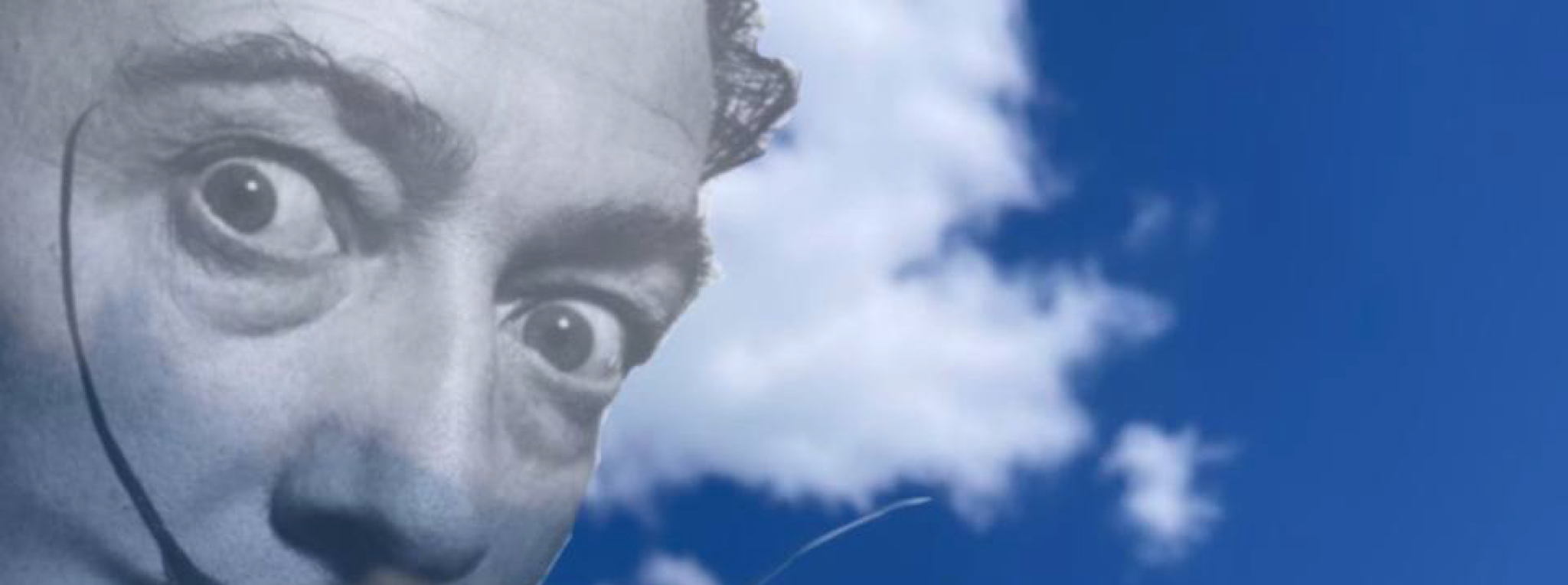 ДЕГУСТАЦИЯ ВИН ПО МЕТОДУ САЛЬВАДОРА ДАЛИ