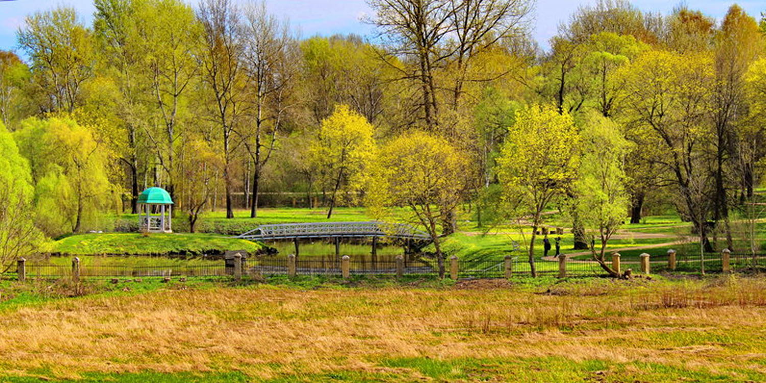 Презентация «Писатели-дипломаты А.С. Грибоедов и Ф.И. Тютчев: усадебное детство»