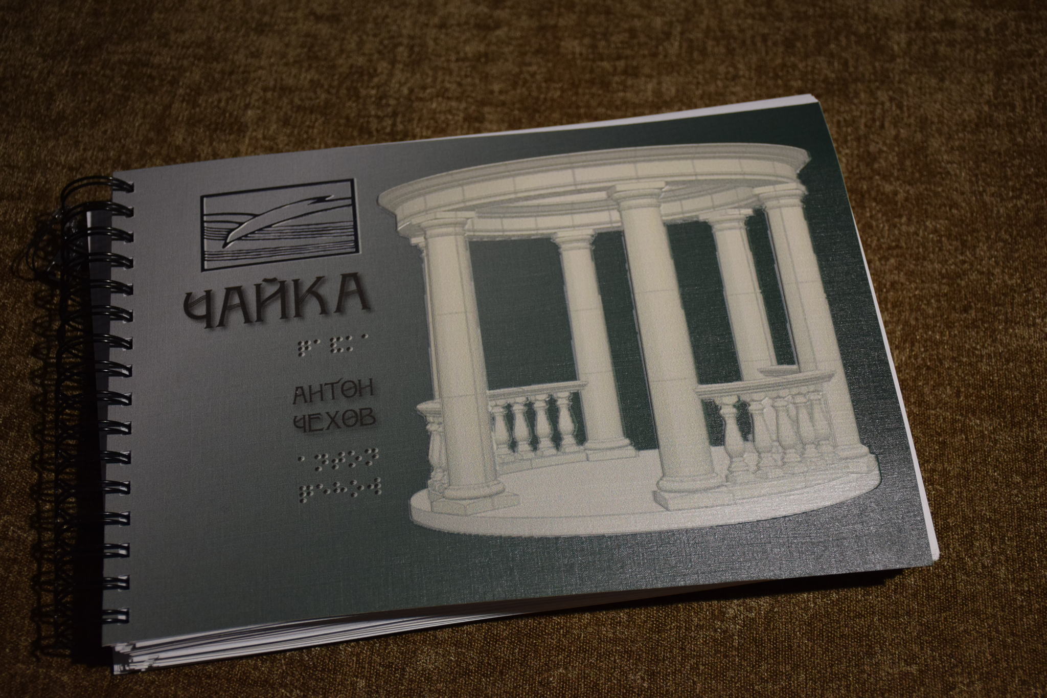 Презентация многоформатного альбома для слепых и слабовидящих «Чайка»