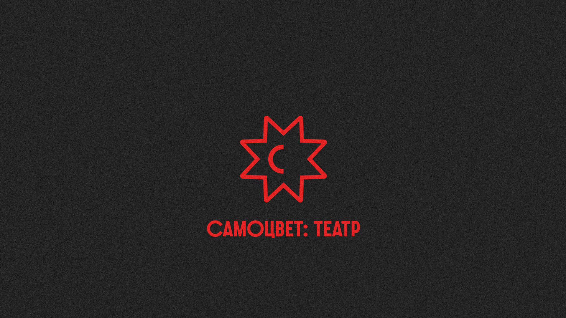 Спектакль «Стирая Норму»