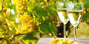 Евгений Агапов. Лекция-дегустация в рамках фестиваля #RieslingWeeksRussia 2020