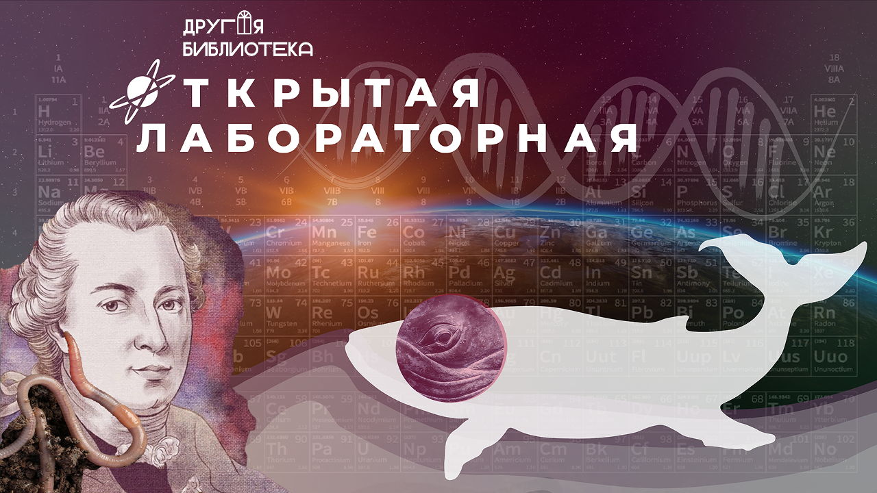 «Открытая лабораторная» В рамках X Всероссийской просветительской акции