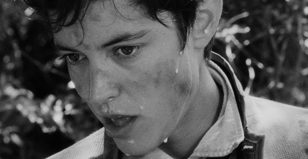 Дикие мальчишки (2017), реж. Бертран Мандико (18+)