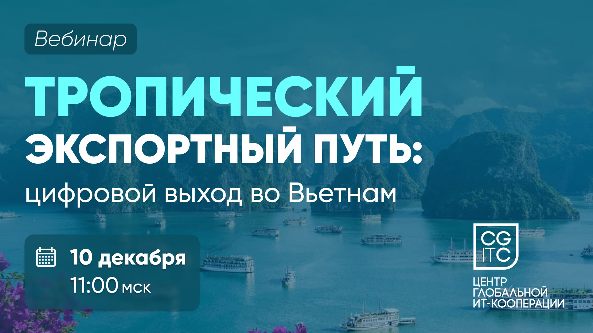 Тропический экспортный путь: цифровой выход во Вьетнам