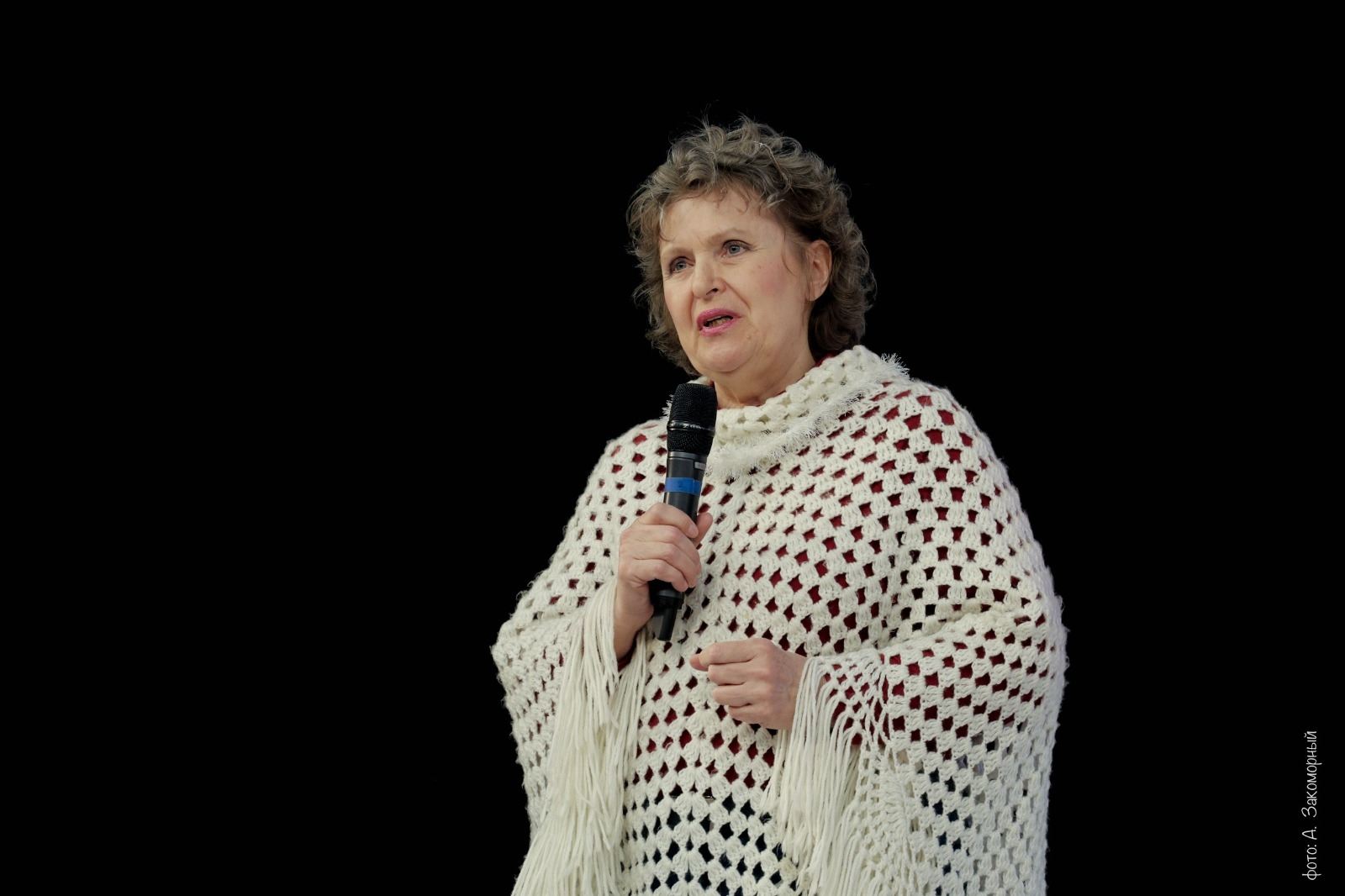 «Шебекинский дневник-2»