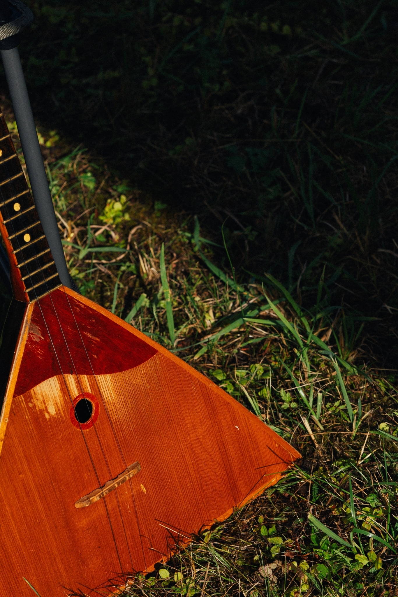 Интенсив "балалайка для начинающих"