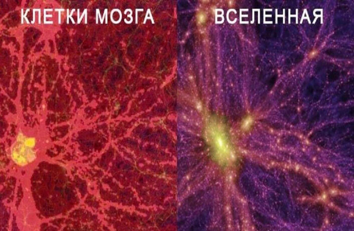 Лекция «Природа и Человек. Отражение единых законов. Воспитание, взаимоотношения, развитие»