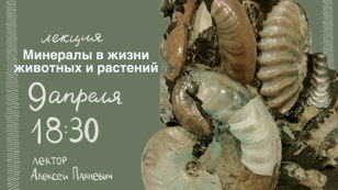 Лекция "Минералы в жизни животных и растений"  
