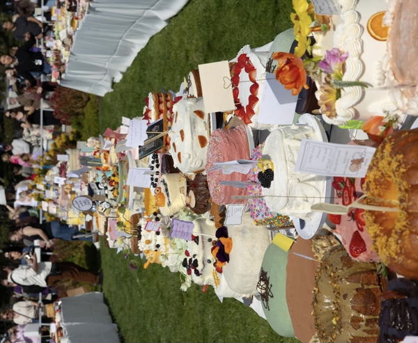 Cake picnic