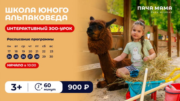 Школа юного альпаковеда