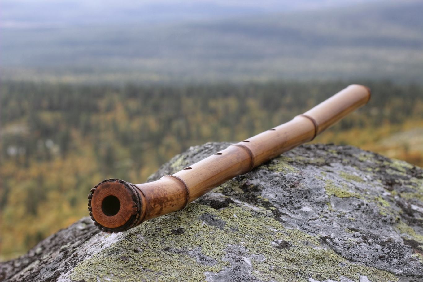 Вечер японской музыки для сякухати «Прикосновение». Дуэт «Два Бамбука»