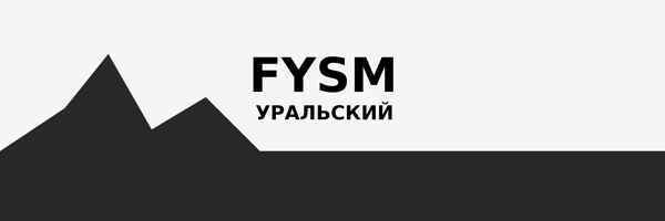 МАСШТАБНАЯ ПРАКТИКА ЙОГИ В СТИЛЕ FYSM