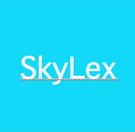 Группа компаний SKYLEX GROUP LTD
