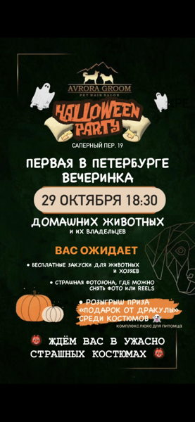 Avrora Groom. HELLOWEEN !!!! ПЕРВАЯ в Петербурге вечеринка для домашних животных и их владельцев