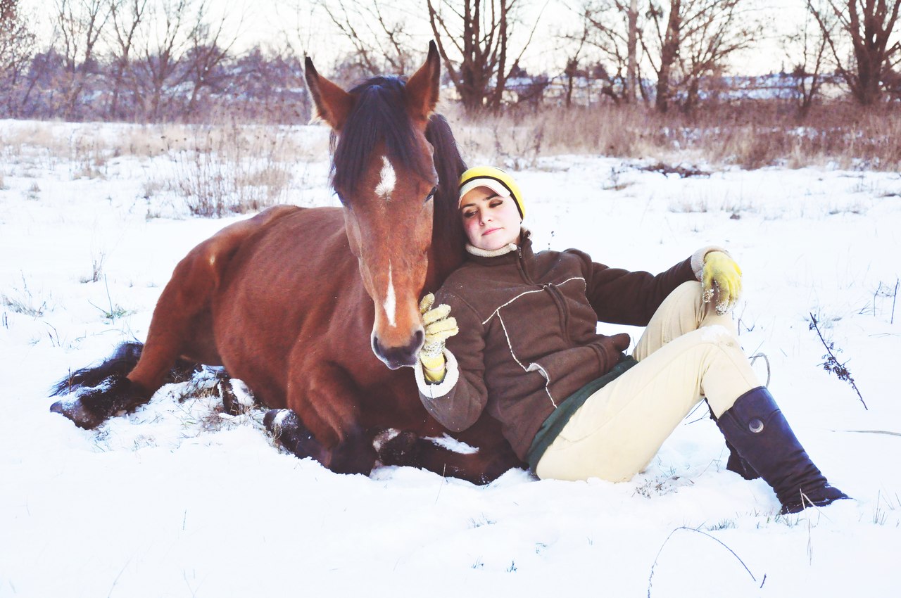 В нашу квартиру лошадь пришла воспитанная лошадь у двери сняла пальто и галоши