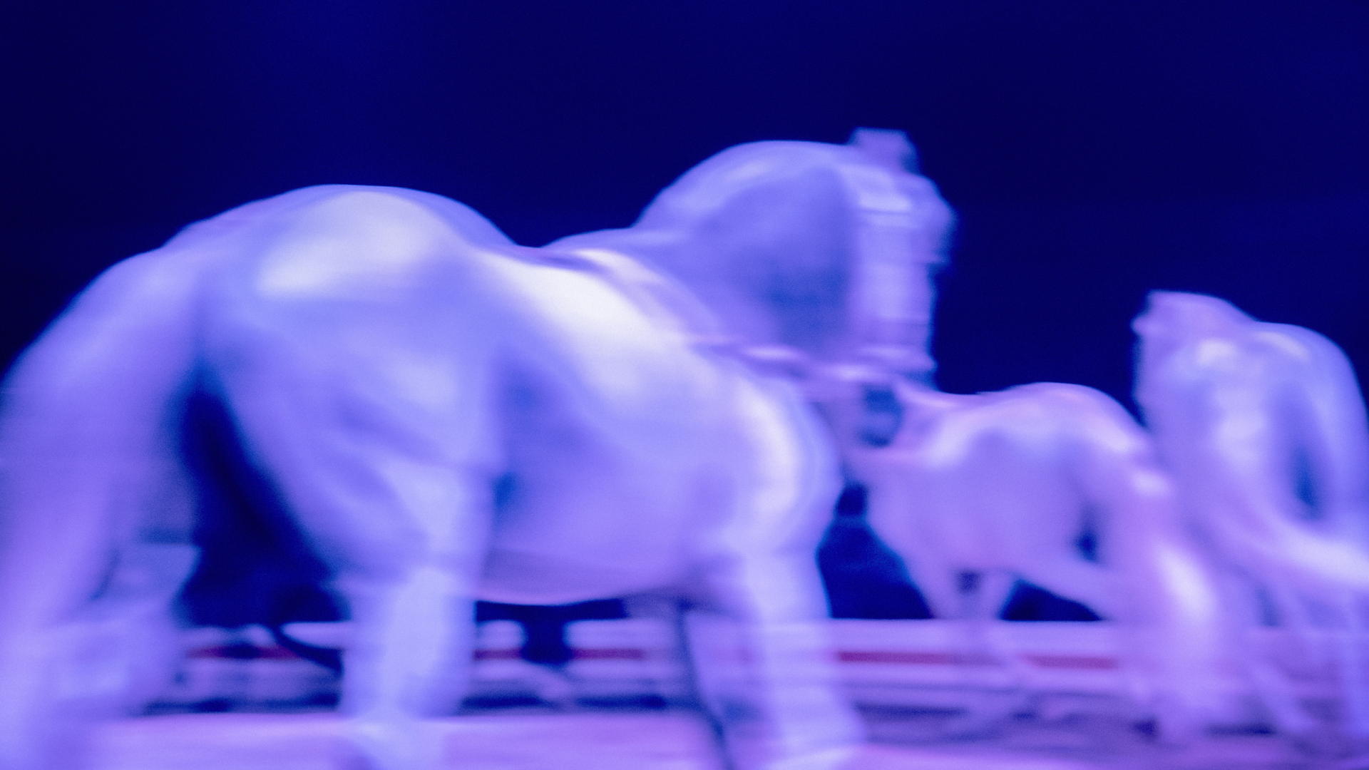 Мастер-класс итальянского фотографа Джампьеро Ассумма. «Фотография в цвете: эмоциональная палитра»