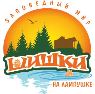 Академия знаний и умений