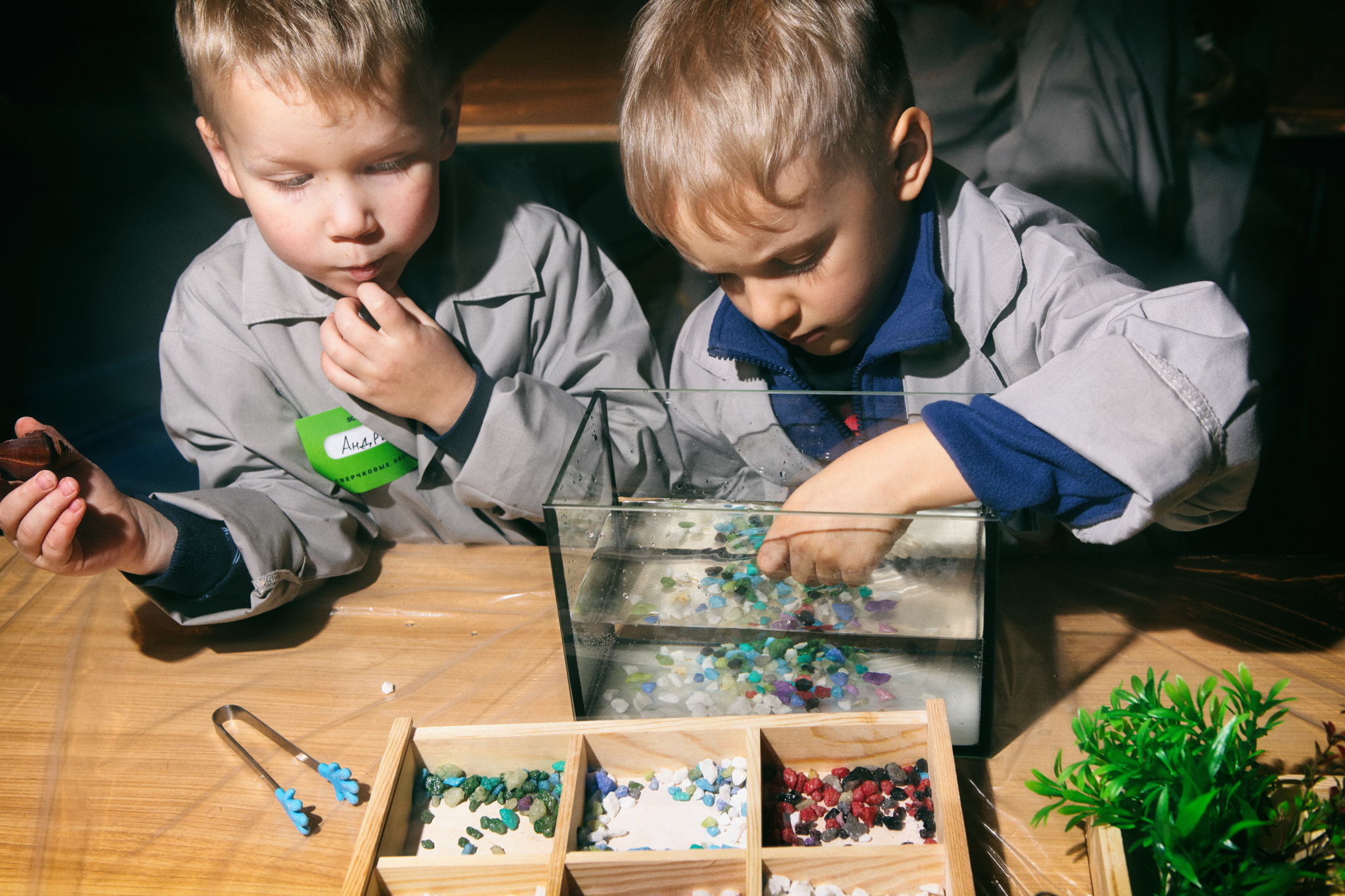 "Зоология" для детей 7-14 лет и "Живая наука" для детей 5-6 лет