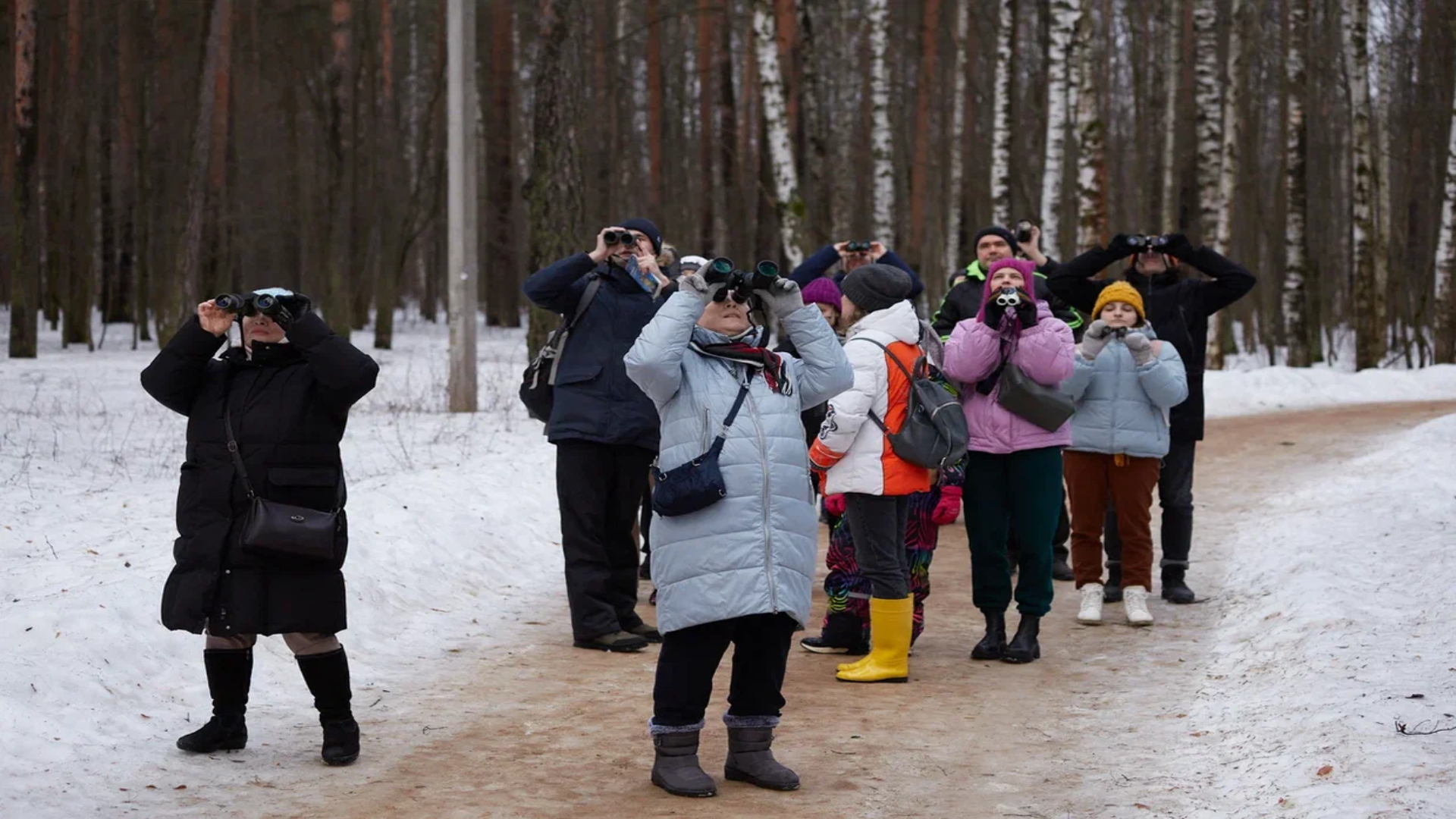 Бесплатная орнитологическая экскурсия в Удельном парке