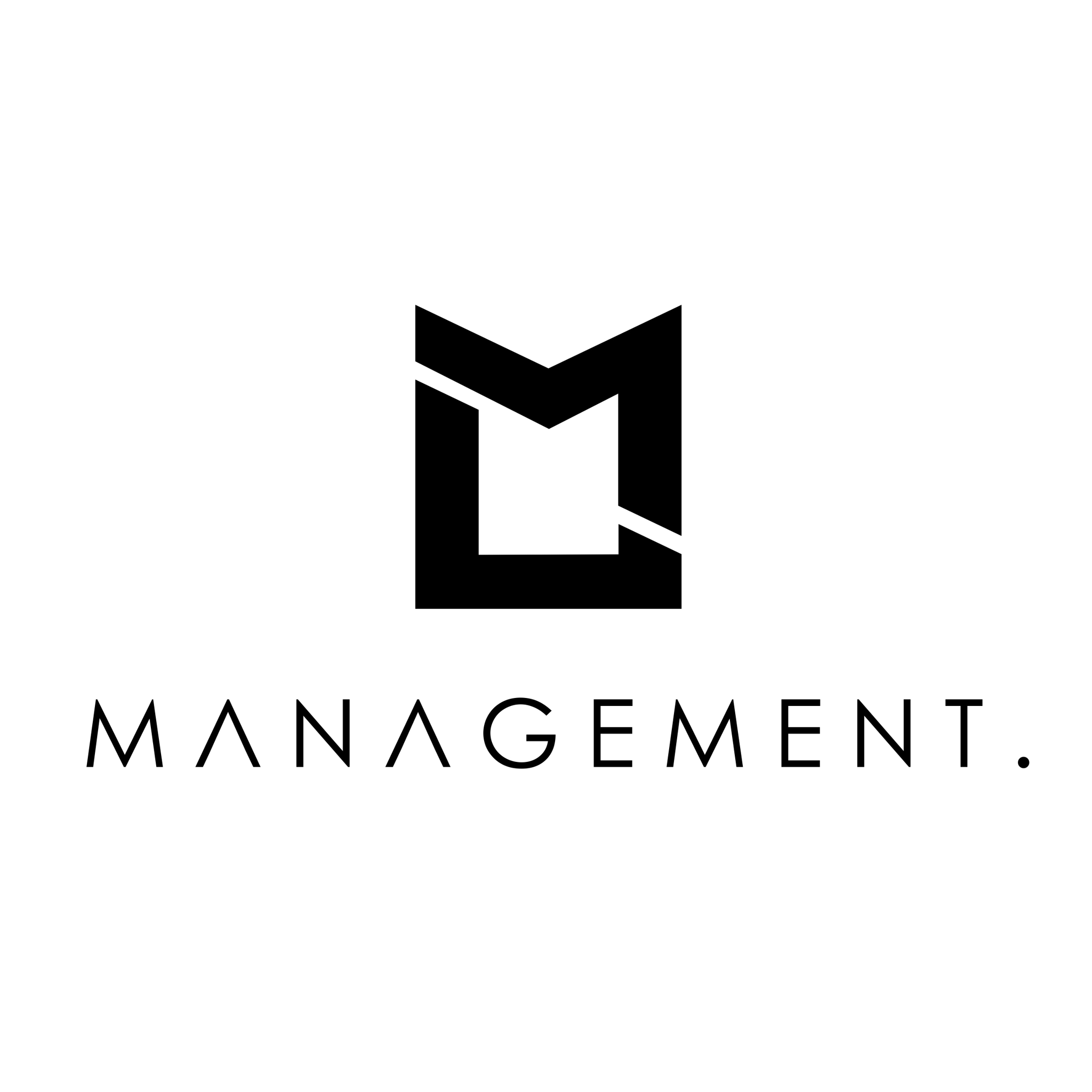 ML MANAGEMENT