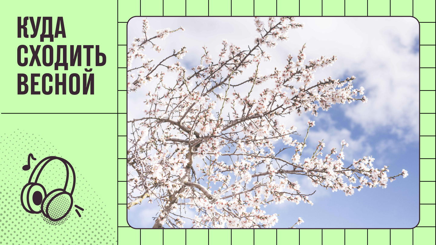 Постер к карточке: Куда сходить весной