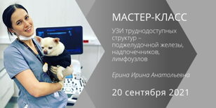 Мастер-класс  «УЗИ труднодоступных структур – поджелудочной железы, надпочечников, лимфоузлов»