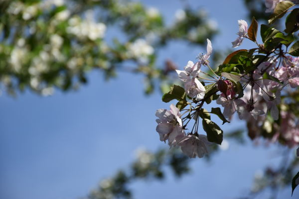 Пешеходный квест «Я говорю с тобой под свист снарядов»