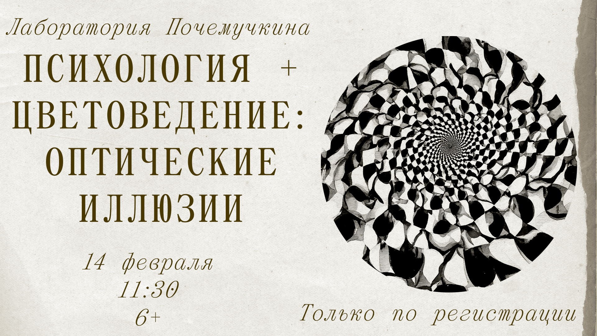 Лаборатория Почемучкина: Психология и Цветоведение: оптические иллюзии