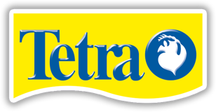 Tetra