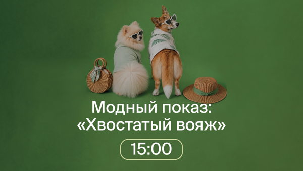 Модный показ с питомцем "Хвостатый вояж"