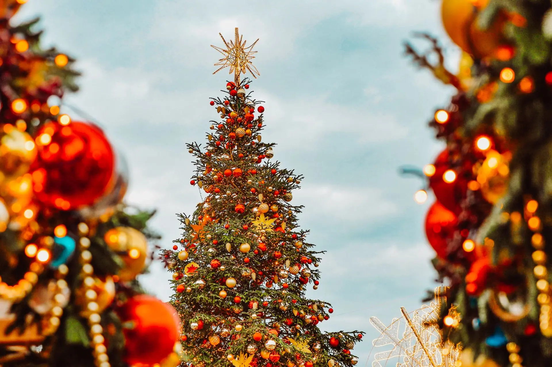 Зима за морозы, а мужик за праздники : новогодняя программа в Коломенском 6+