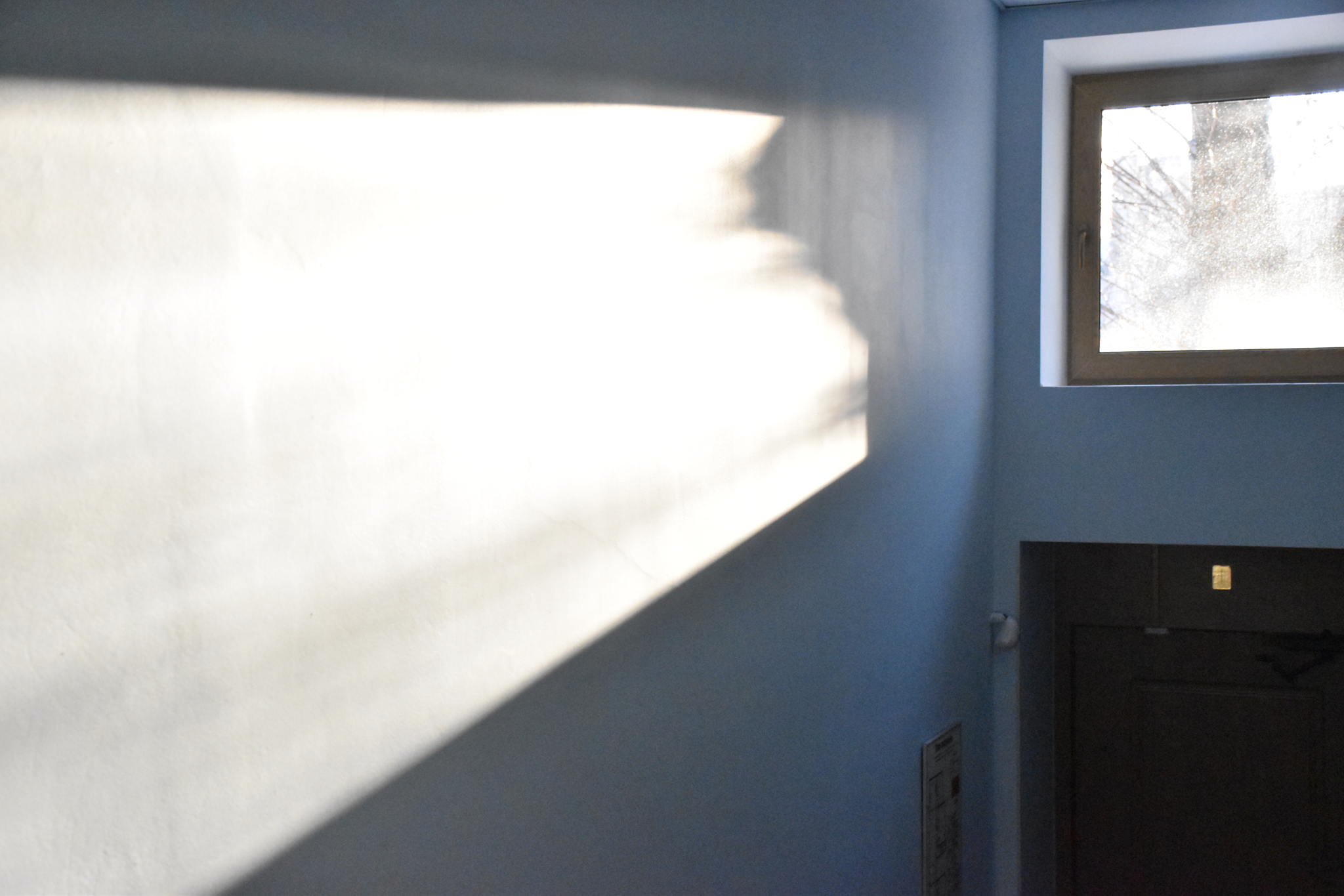 Лекция «Духовный интеллект. Начало»