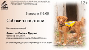 Фотовыставка «Собаки-спасатели»
