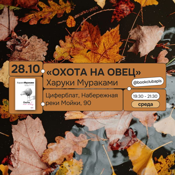 Встреча Книжного клуба APiS