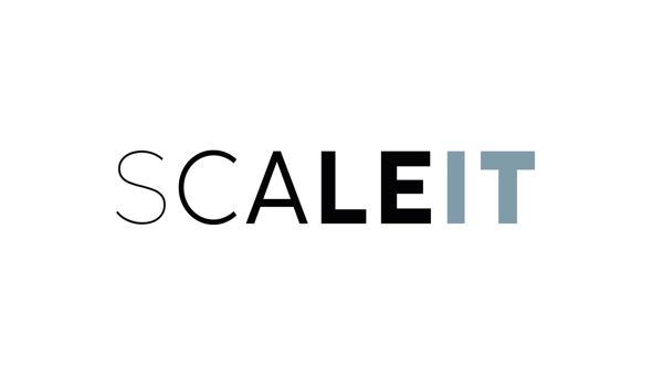 SCALE IT: Новый культурный код франчайзинга. Презентация обновлений и функционала, отвечаем на вопросы