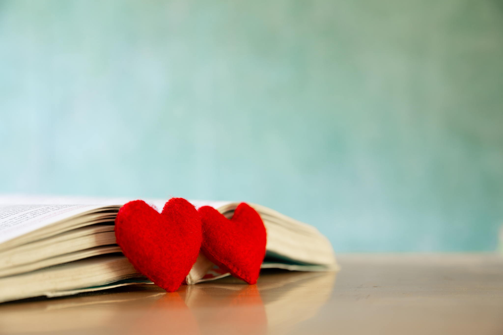 Ноябрьская встреча клуба BOOKMADNESSS