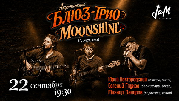 Акустическое блюз-трио «Moonshine»