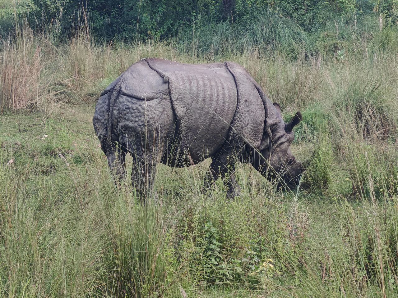 Трансграничная экспедиция Санкт-Петербургского союза учёных в Кумаонские Гималаи (Индия) и Непал