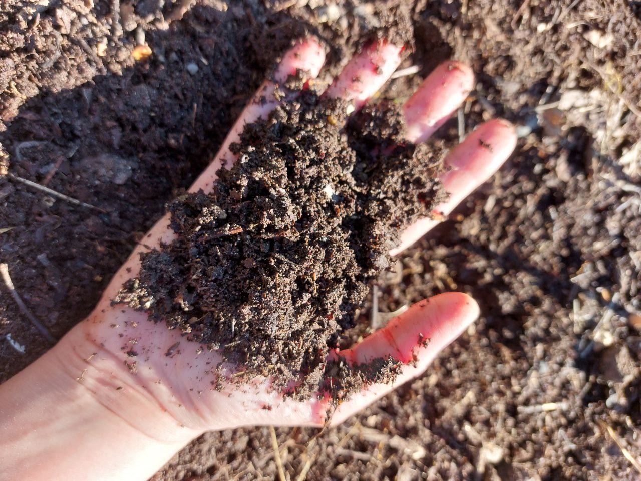 Экологичные решения для сада. Безопасность для человека и природы в саду