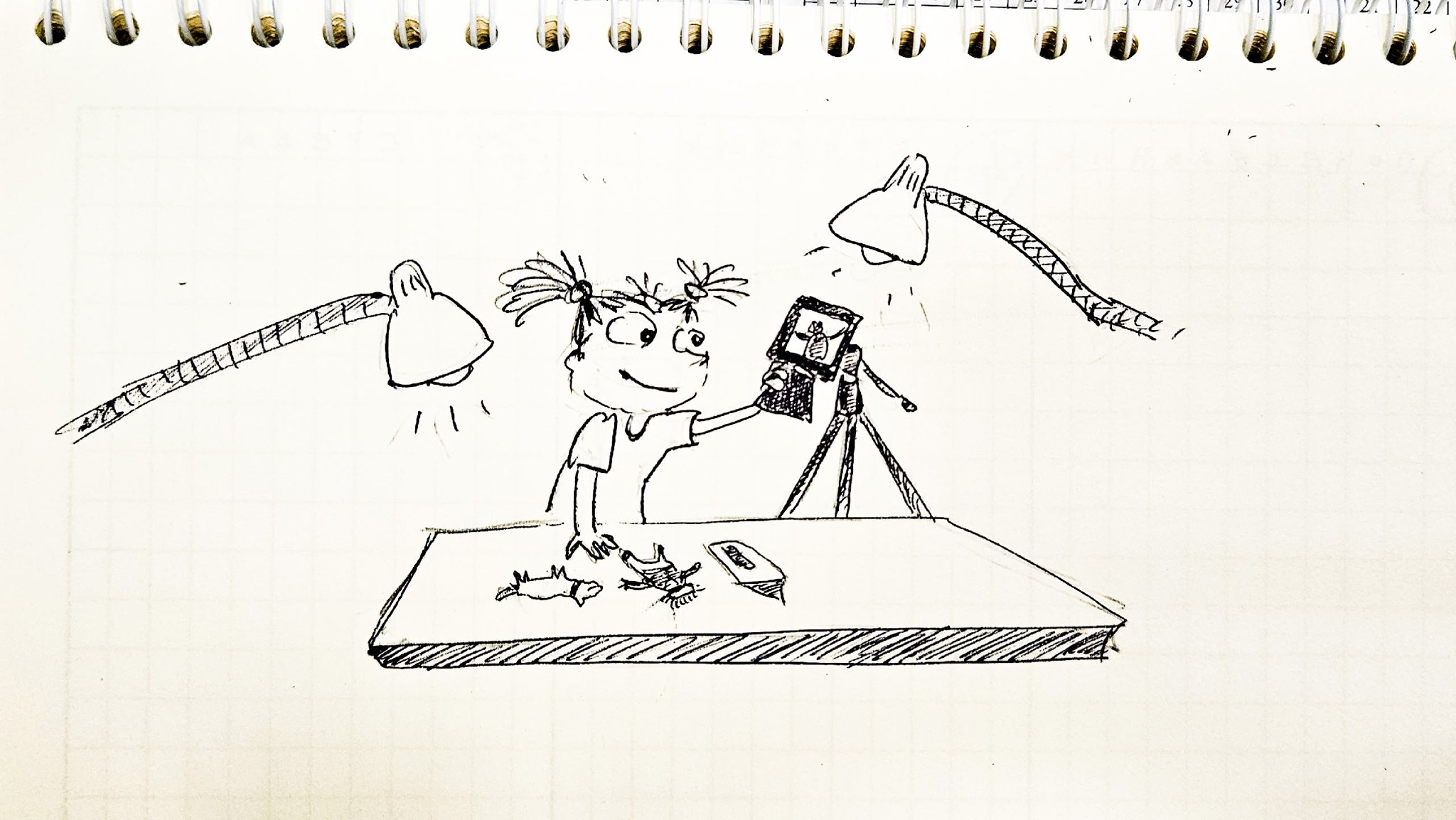 Мультики своими руками