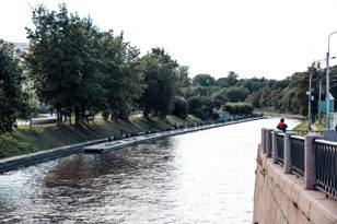 Деревья Петербурга