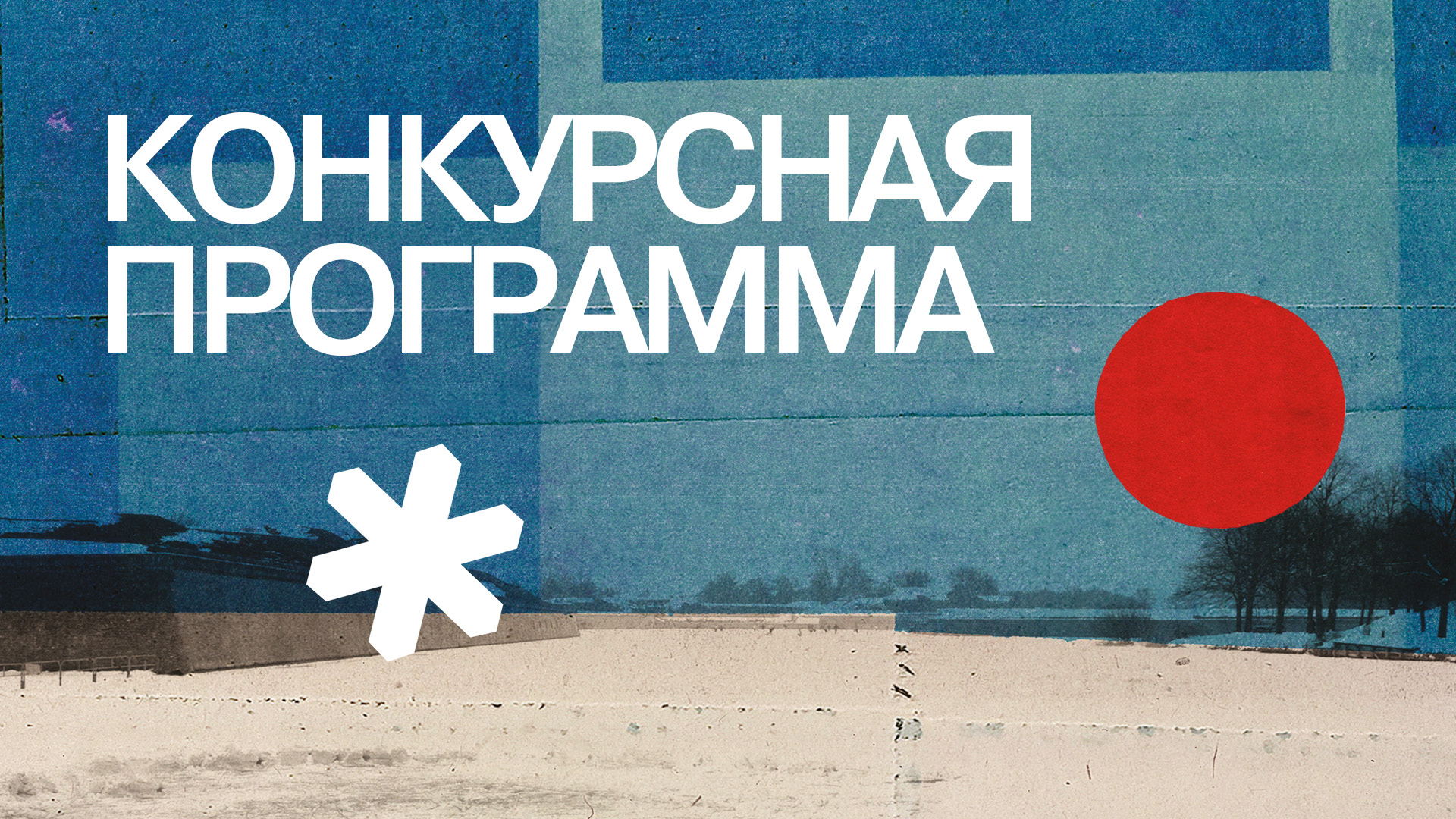 Фестиваль «Зимний» | Конкурсная программа | «Мальчик-птица» реж. Савелий Осадчий 21:00