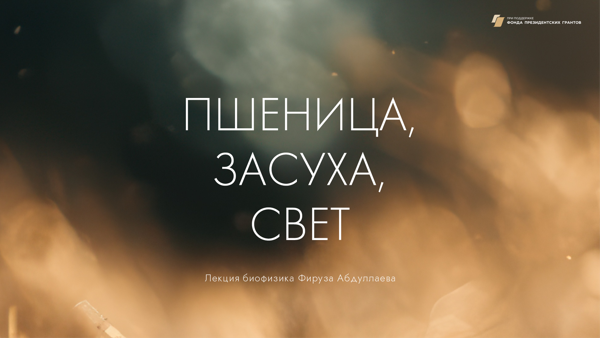 Лекция «Пшеница, засуха, свет»